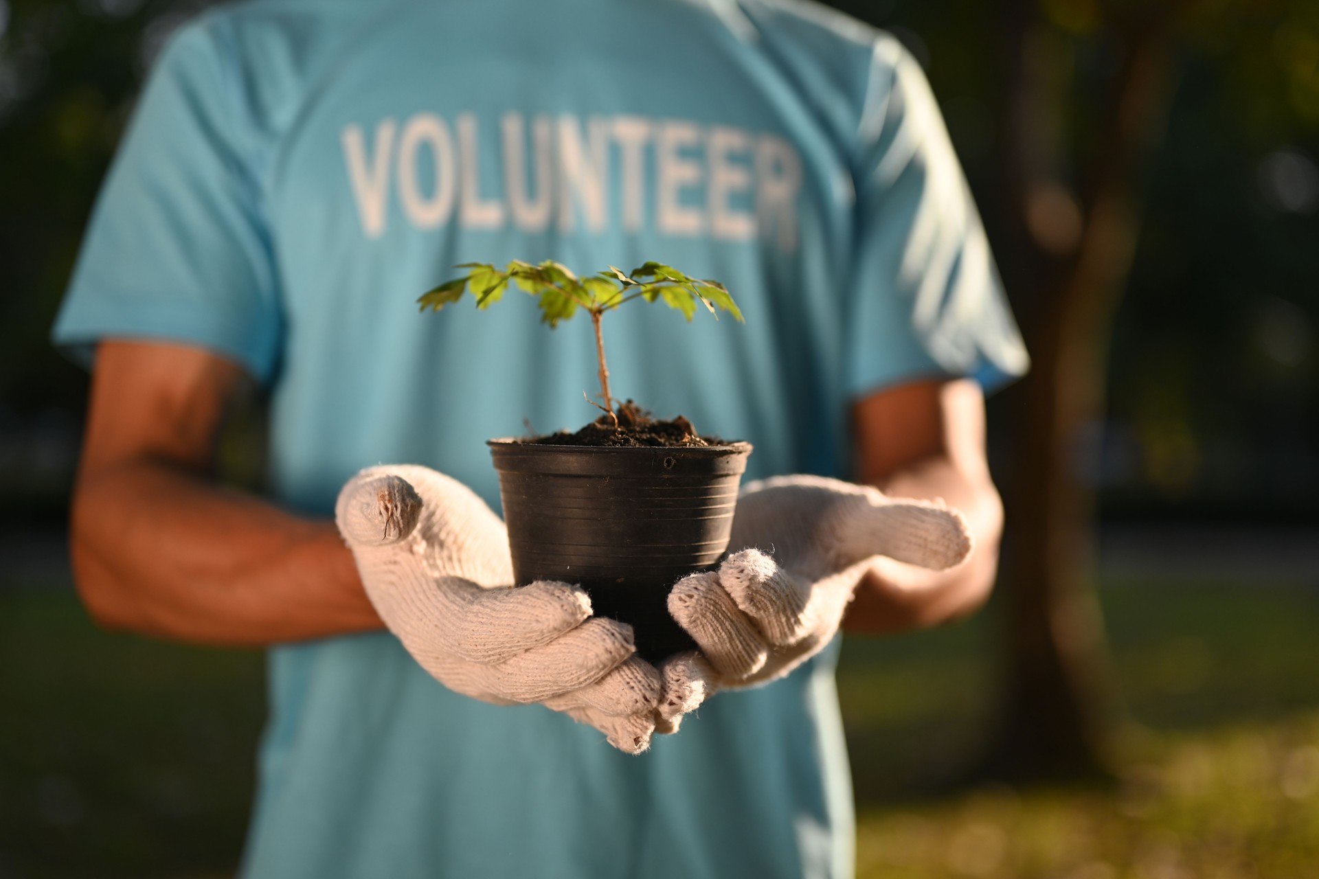 Volunteer holding green plant in a pot standing outdoor. Ecology and sustainability for earth day concept